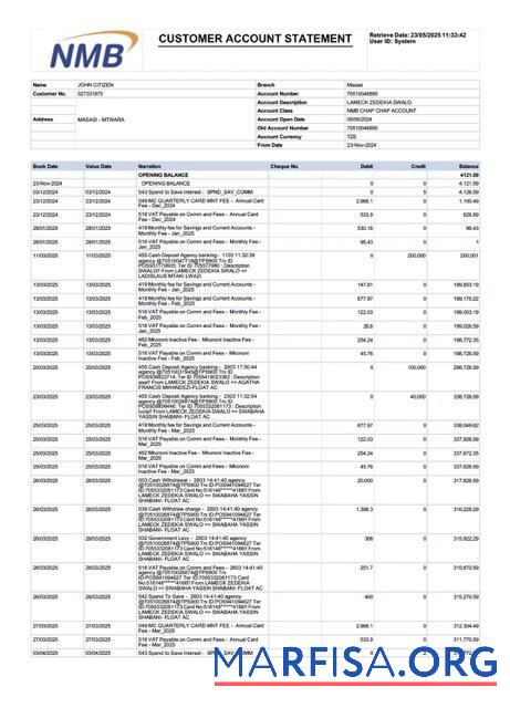 Realistic Tanzania NMB bank account statement word sample